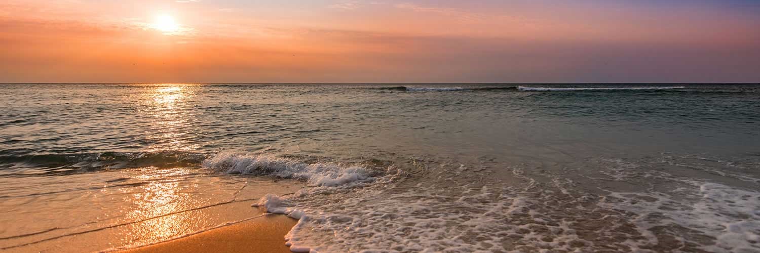 Banner image of New Smyrna Beach